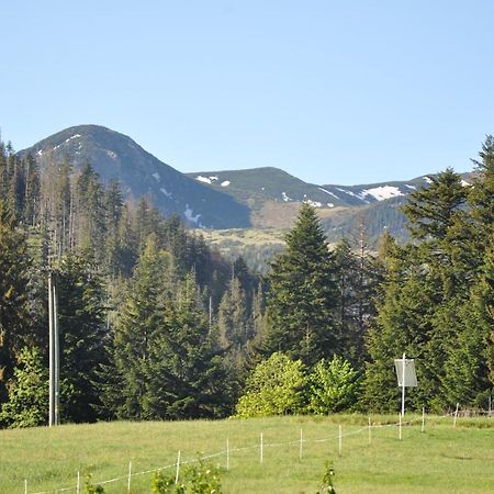Apartamenty "U Blizniakow" Zakopane Extérieur photo