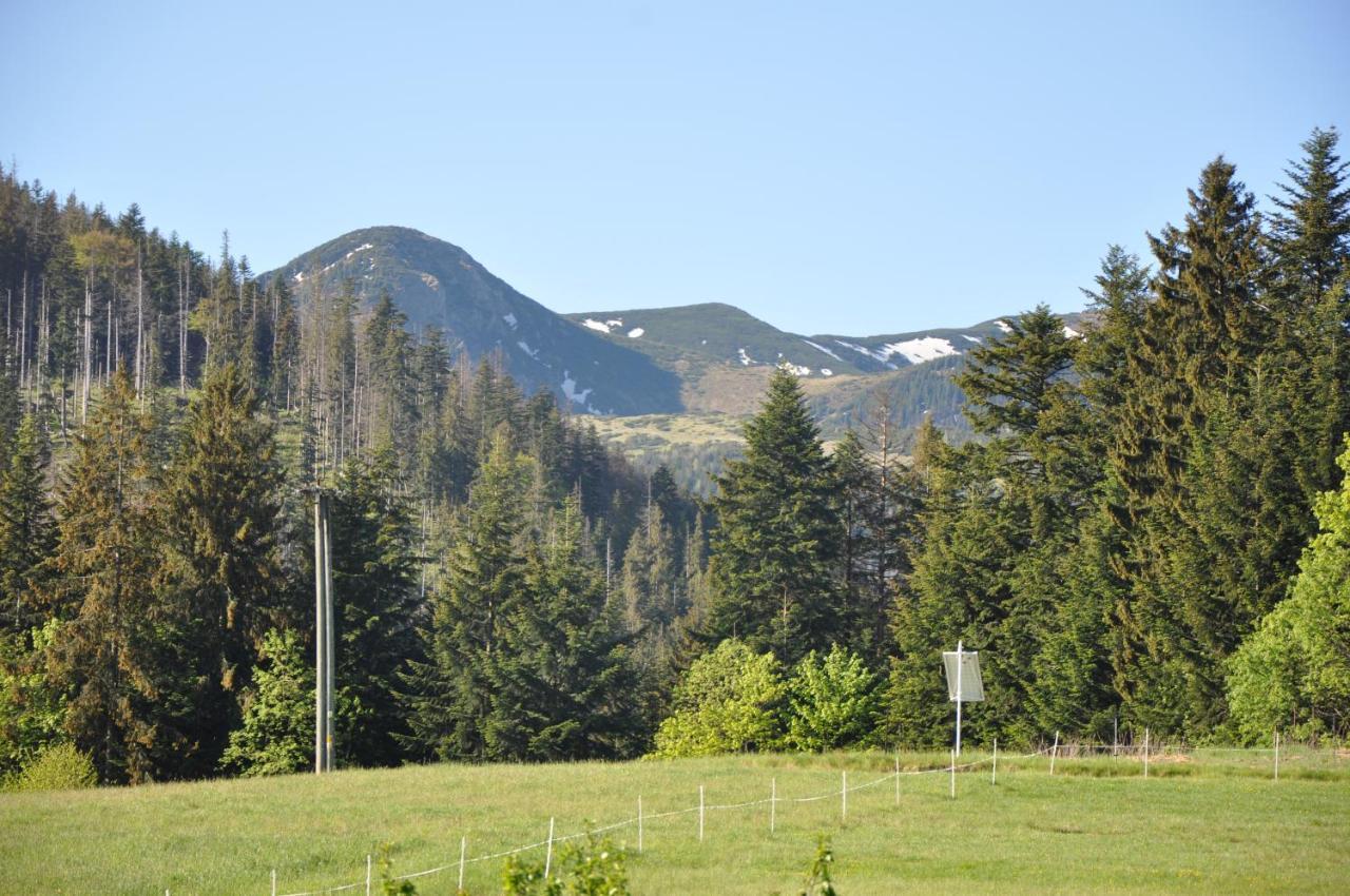 Apartamenty "U Blizniakow" Zakopane Extérieur photo