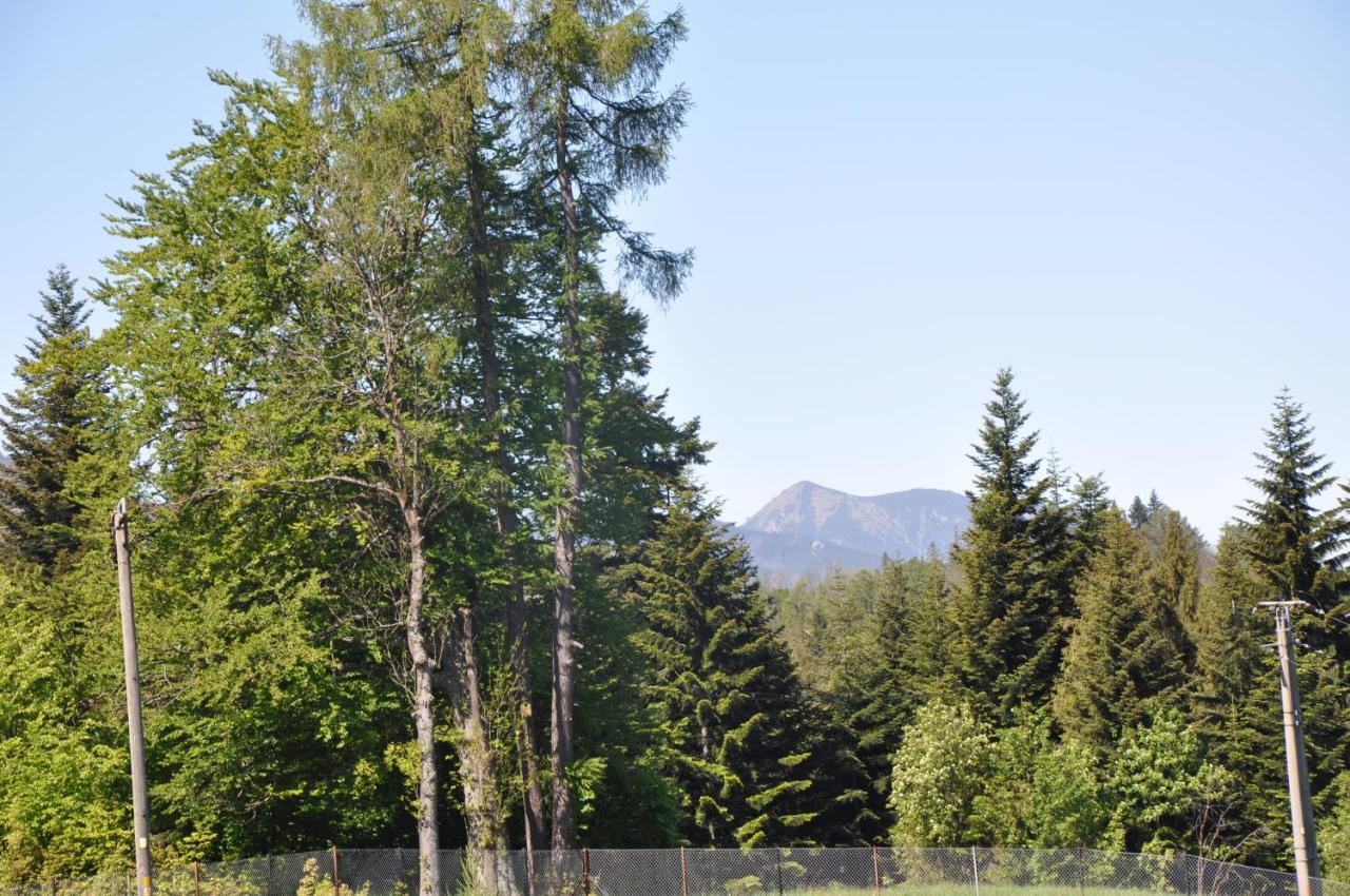 Apartamenty "U Blizniakow" Zakopane Extérieur photo