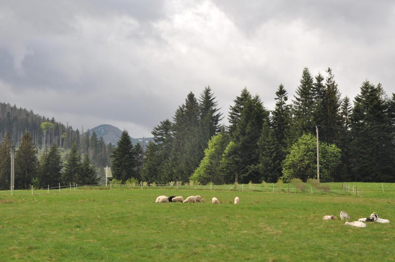 Apartamenty "U Blizniakow" Zakopane Extérieur photo